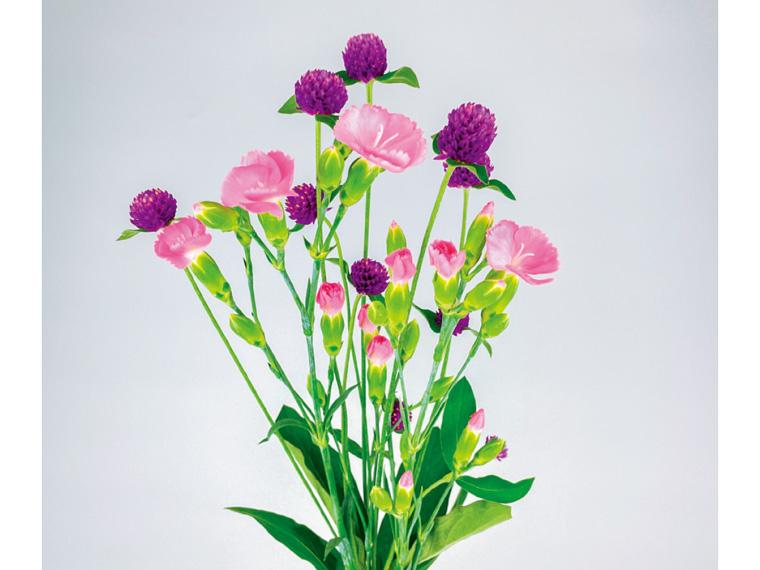 季節の花束(センニチコウ)  4本 