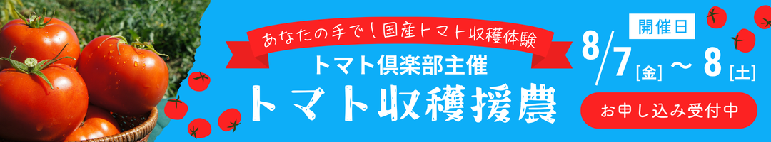 トマト収穫援農